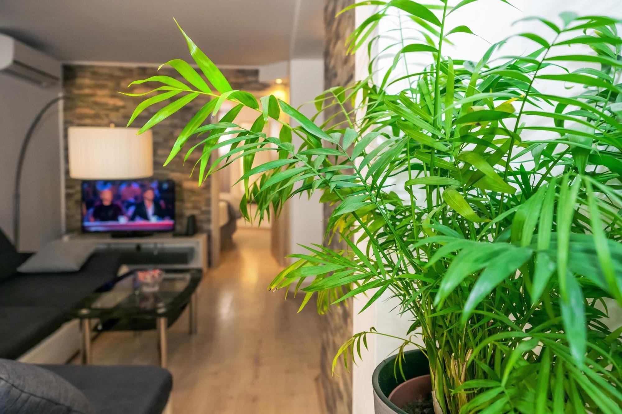 Relaxing 2Bd Apartment, Ground Floor - Walk To Old Town Split Eksteriør bilde